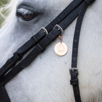 SSE Stirrup Logo Bridle Charm