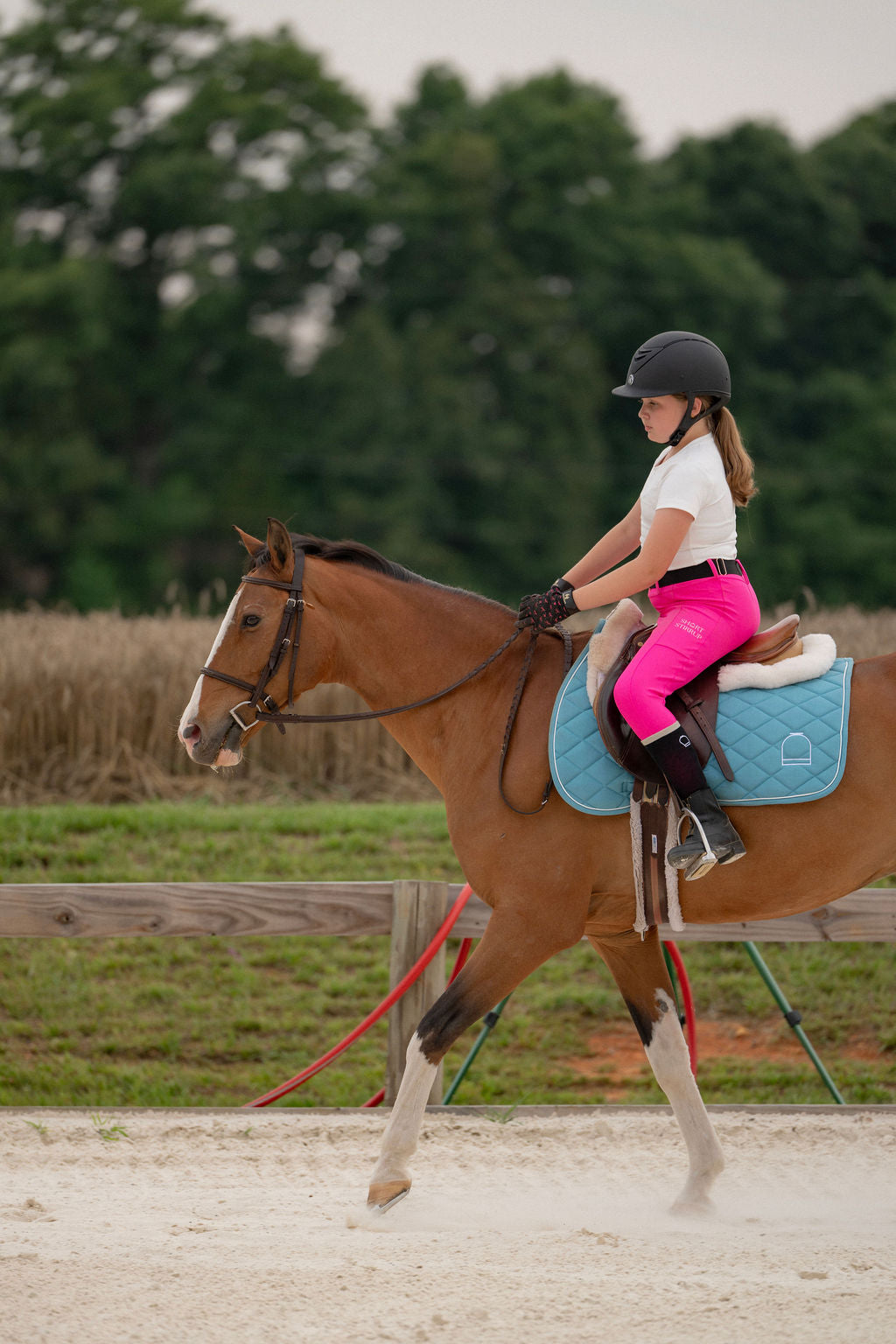 little girl equestrian riding a horse in hot pink leggings